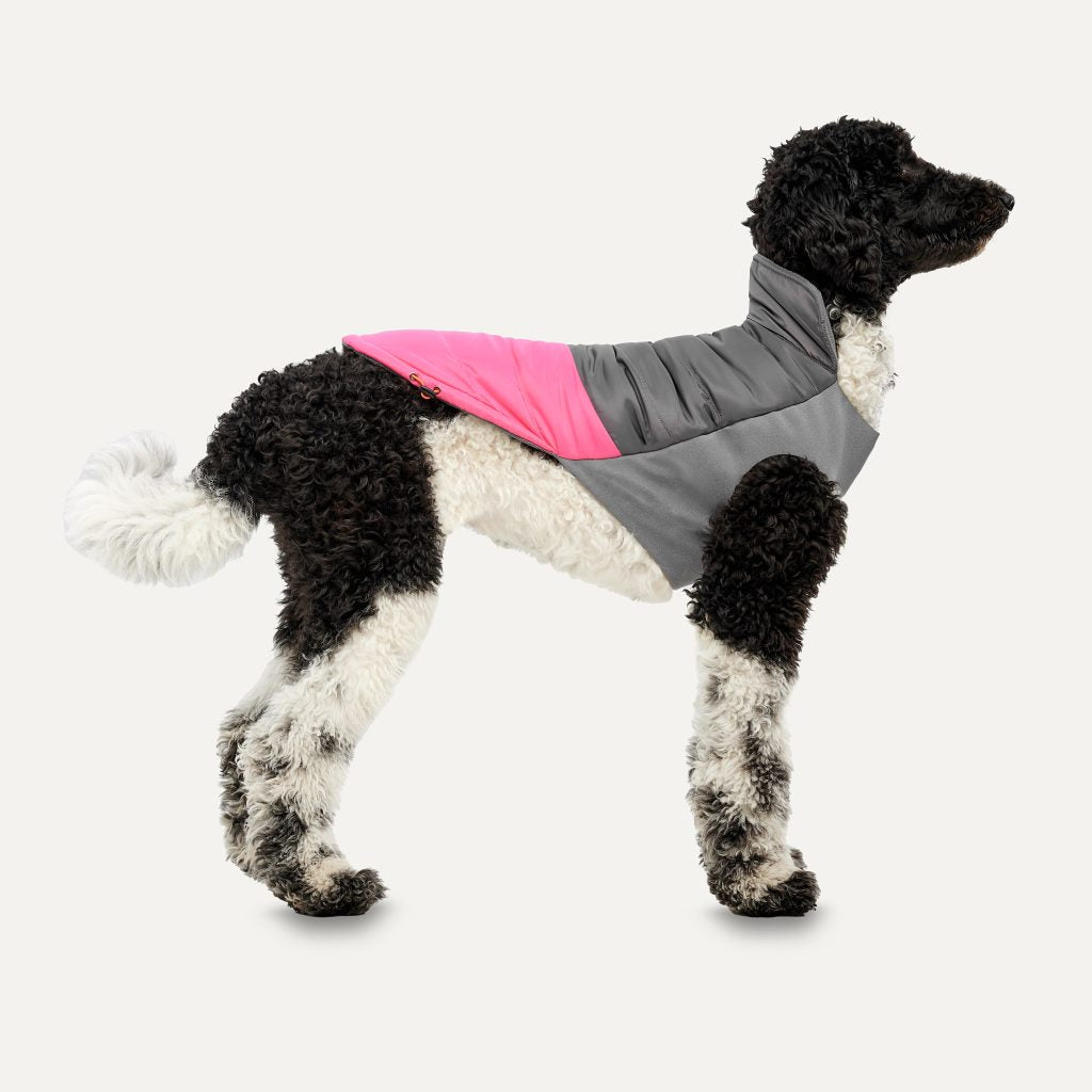 Goo-eez - Dog - Mock Neck Signature Jacket Fuchsia/Grey