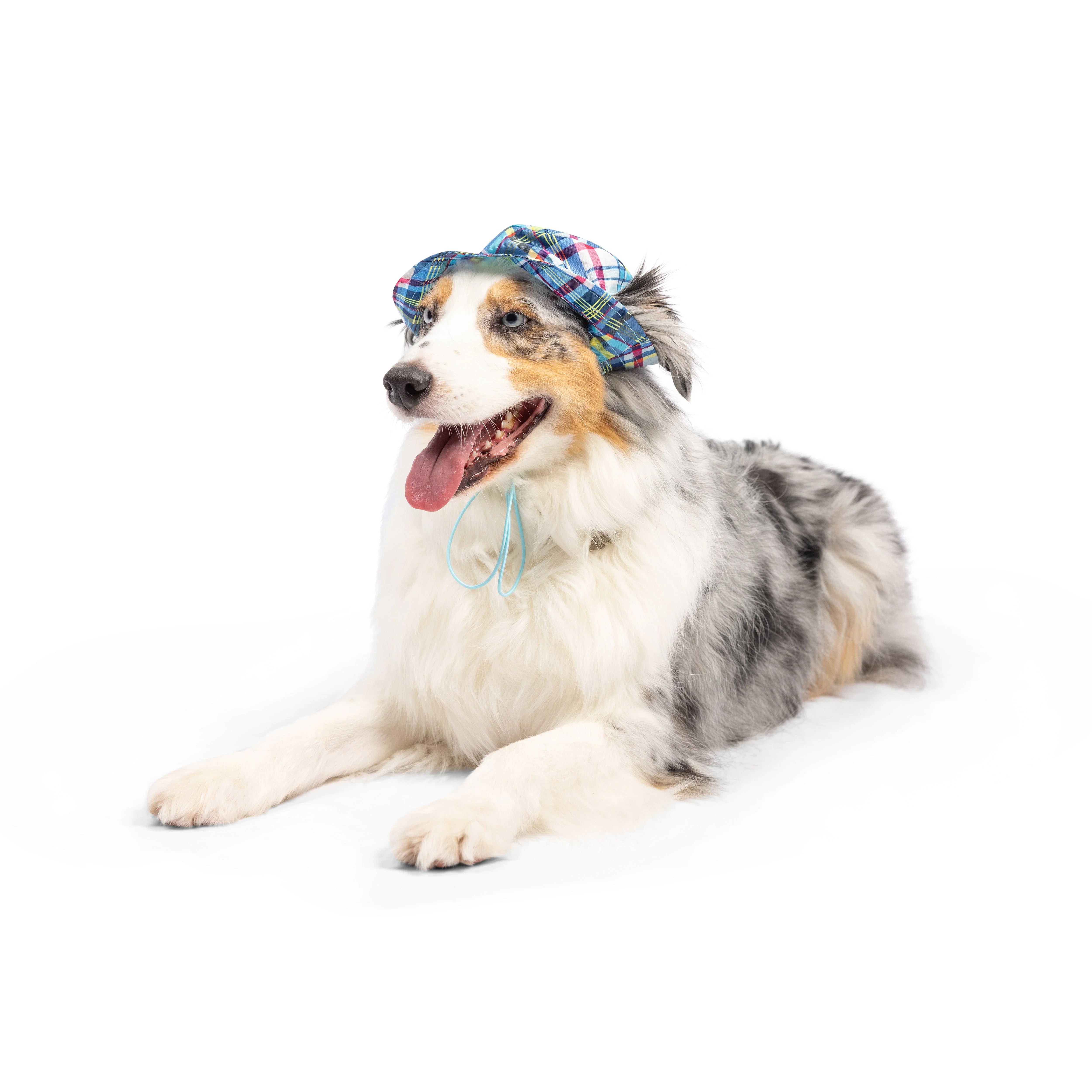 Huxley & Kent - Dog - Bucket Hat Blue Madras