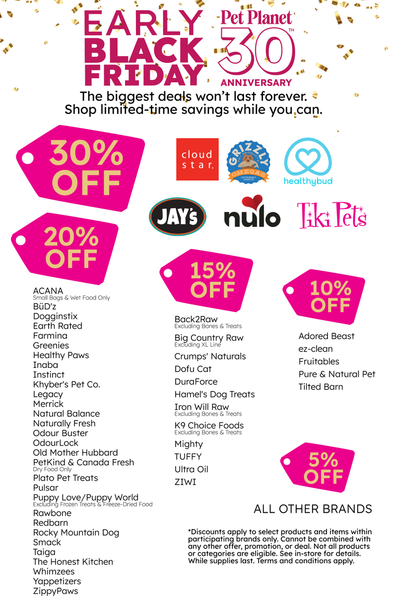 Early Black Friday flyer