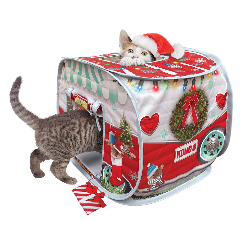 KONG - Cat - Holiday Play Spaces Camper