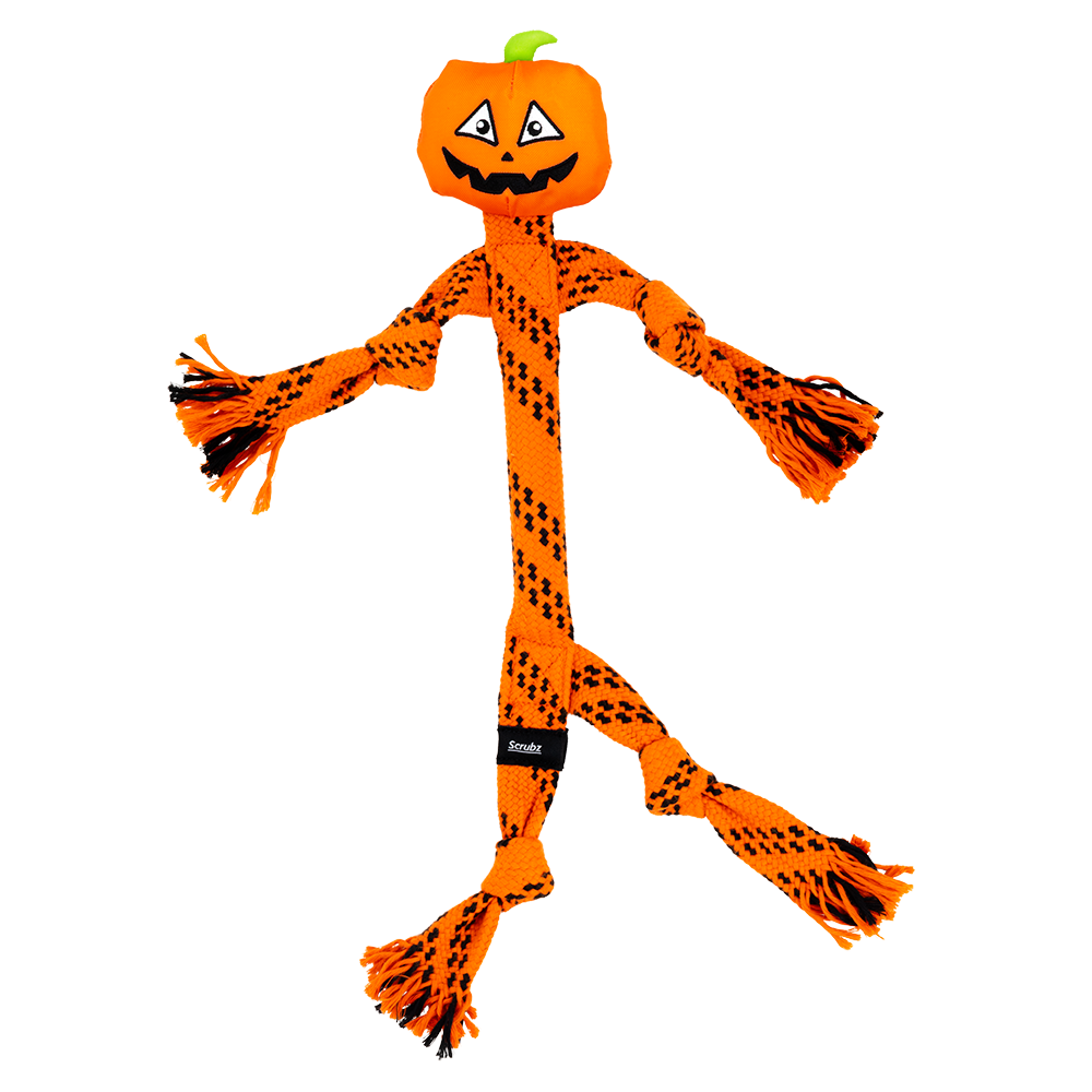 KONG - Dog - Halloween 2026 Scrubz Jack-O-Lantern