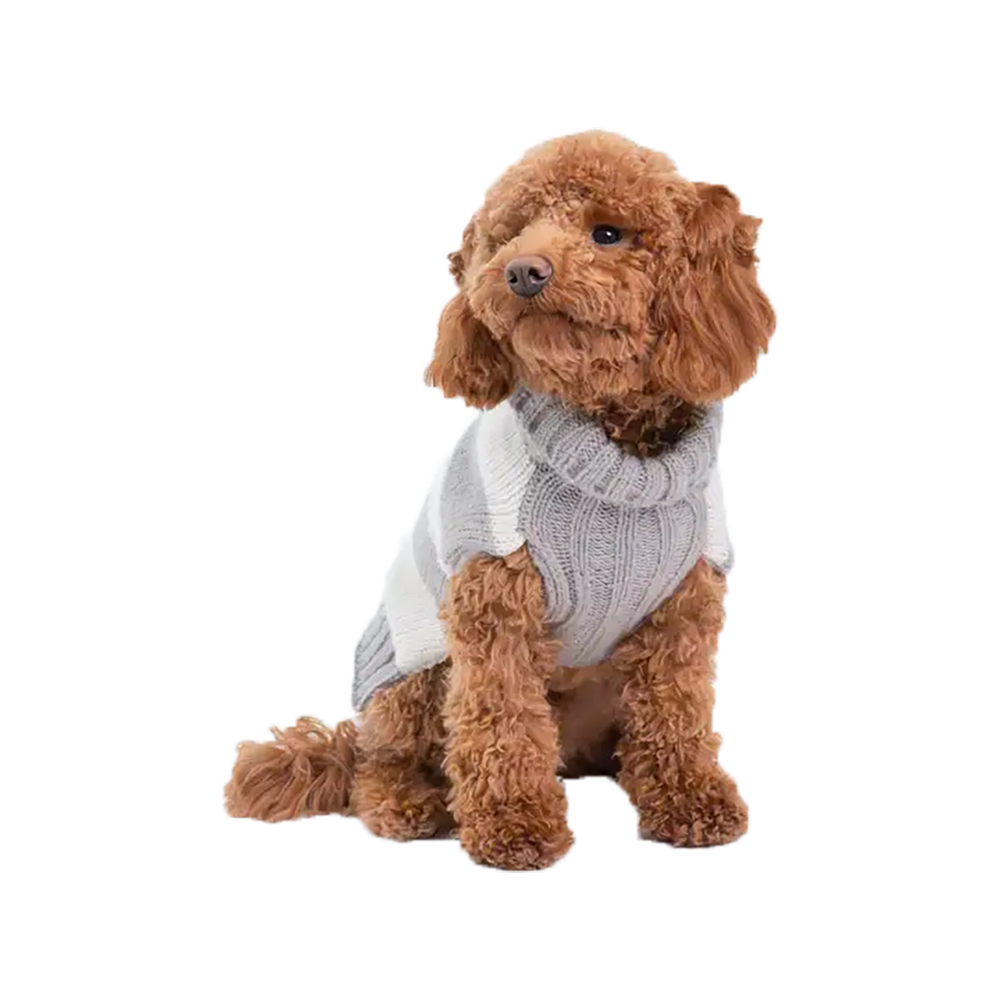 Silver Paw - Dog - Knit Stripes Sweater Grey