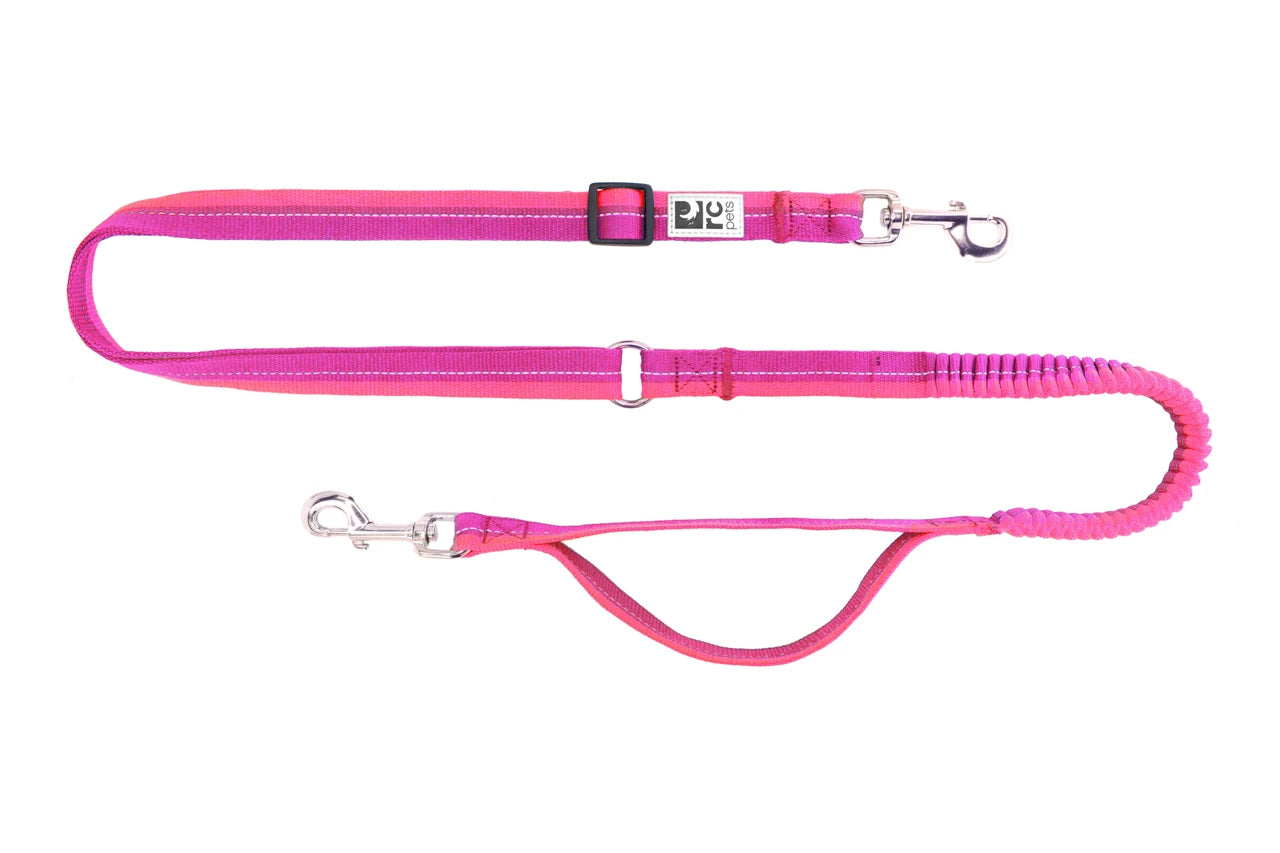 RC Pets - Dog - Bungee Active Leash Mulberry/Azalea