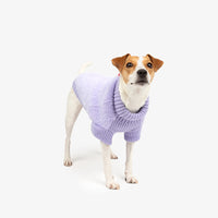Silver Paw - Dog -  Nora Fashion Knit Sweater Lilac