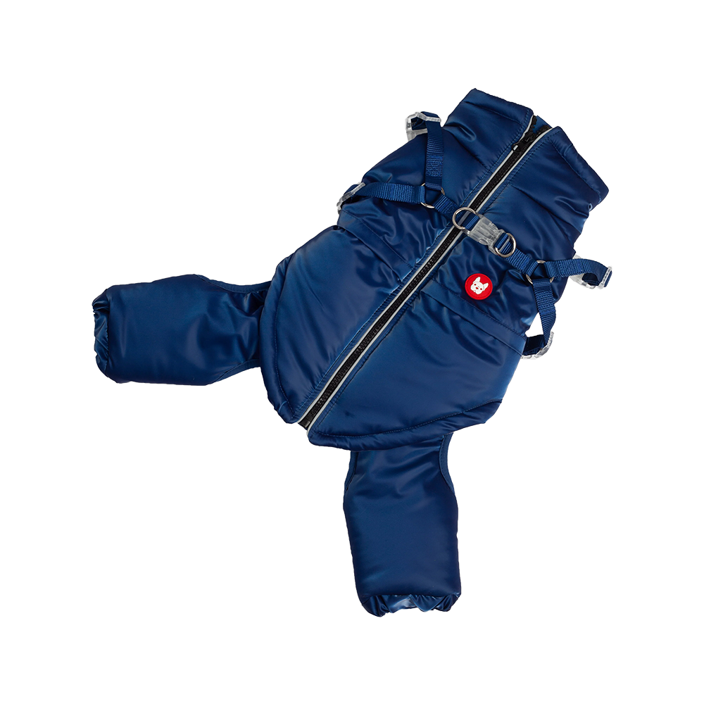 Silver Paw - Dog - Nova Detachable Bodysuit Blue