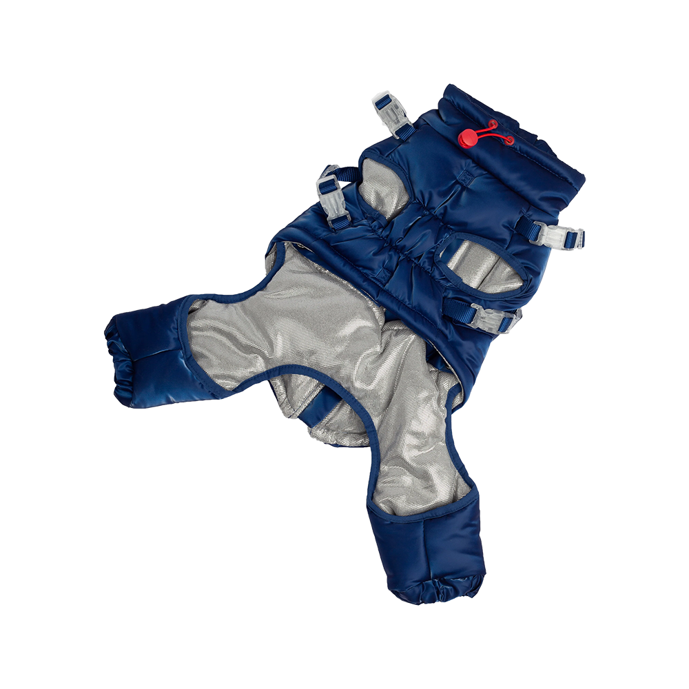 Silver Paw - Dog - Nova Detachable Bodysuit Blue