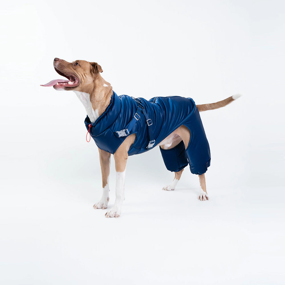 Silver Paw - Dog - Nova Detachable Bodysuit Blue