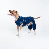 Silver Paw - Dog - Nova Detachable Bodysuit Blue