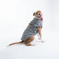 Silver Paw - Dog - Nova Detachable Bodysuit Grey