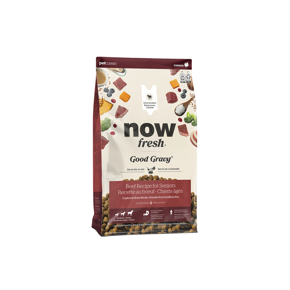 Now Fresh - Dog - Good Gravy Senior Beef Recipe with Ancient Grains