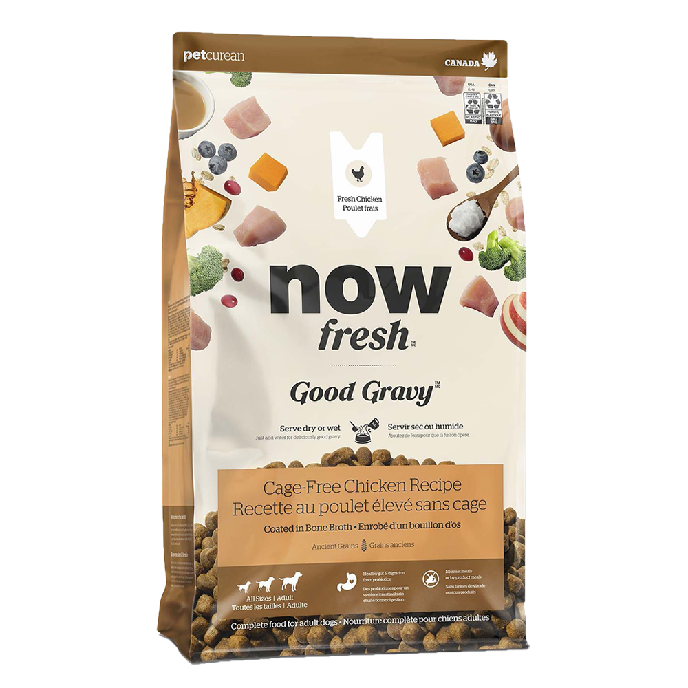 Now Fresh - Dog - Good Gravy Adult Chicken Recipe with Ancient Grains