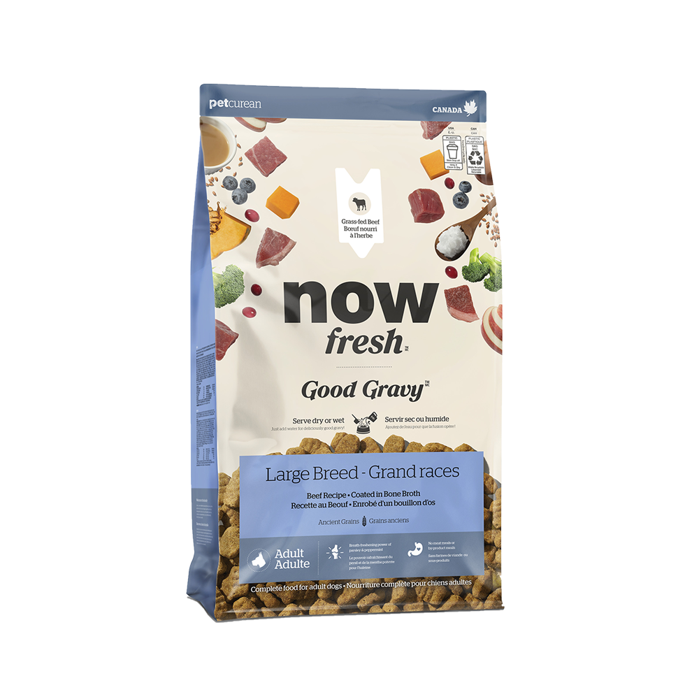 Now Fresh - Dog - Good Gravy with Grains Large Breed Adult Beef Recipe