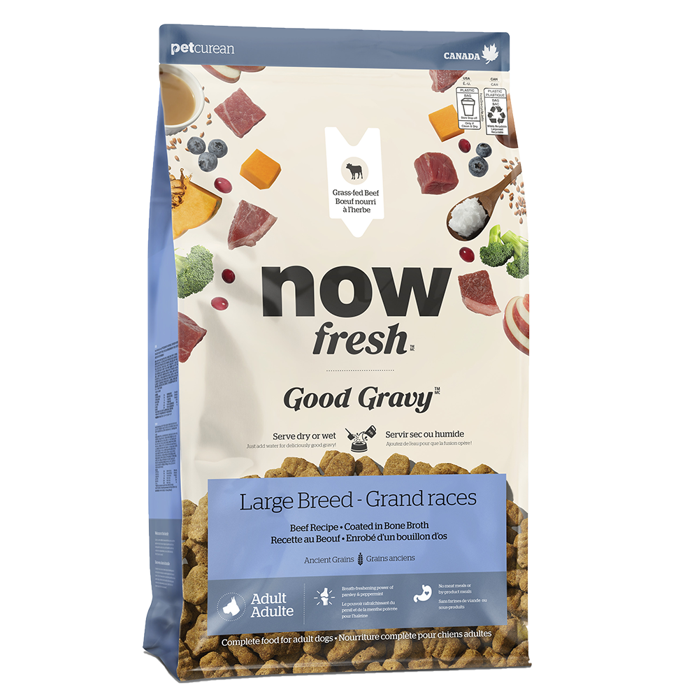 Now Fresh - Dog - Good Gravy with Grains Large Breed Adult Beef Recipe
