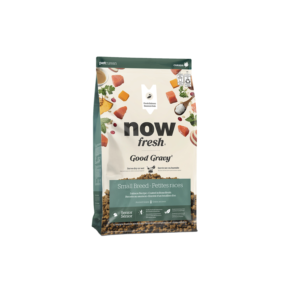 Now Fresh - Dog - Good Gravy with Grains Small Breed Senior Salmon Recipe