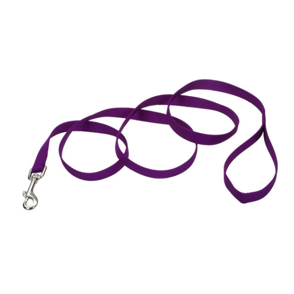 Coastal - Dog - Nylon Leash Purple