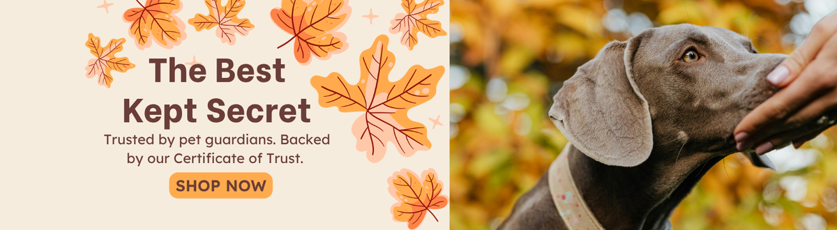 October Promotions