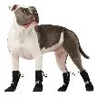 Canada Pooch - Dog - Soft Shield Boots Black