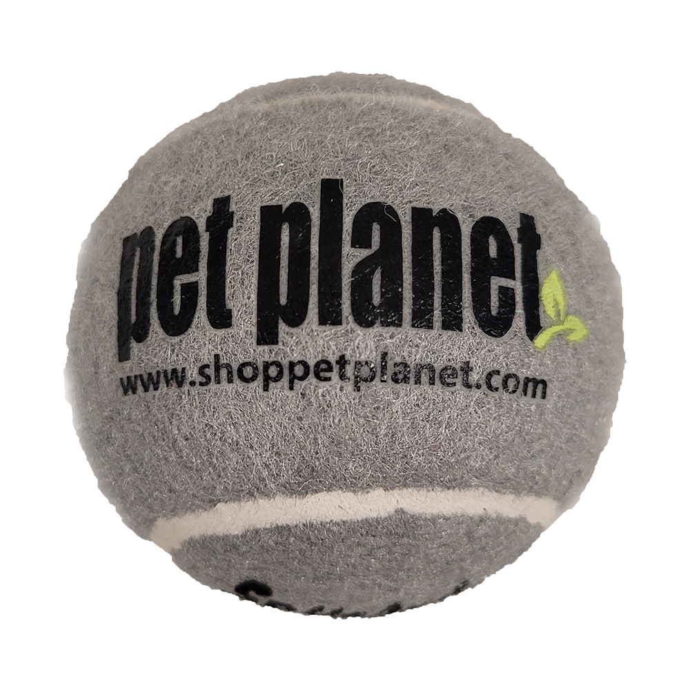 Pet Planet - KONG - Dog Pet Planet Co-Branded Ball