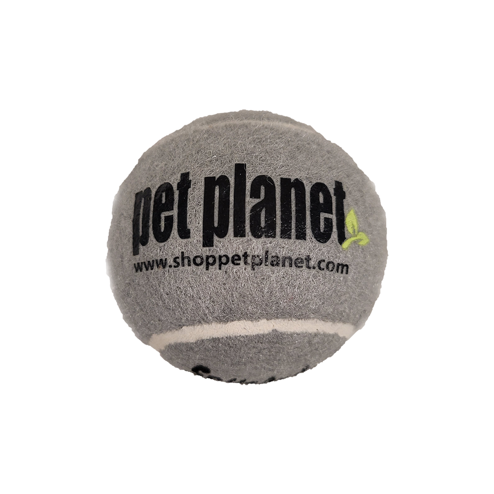 Pet Planet - KONG - Dog Pet Planet Co-Branded Ball