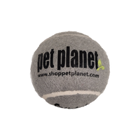 Pet Planet - KONG - Dog Pet Planet Co-Branded Ball