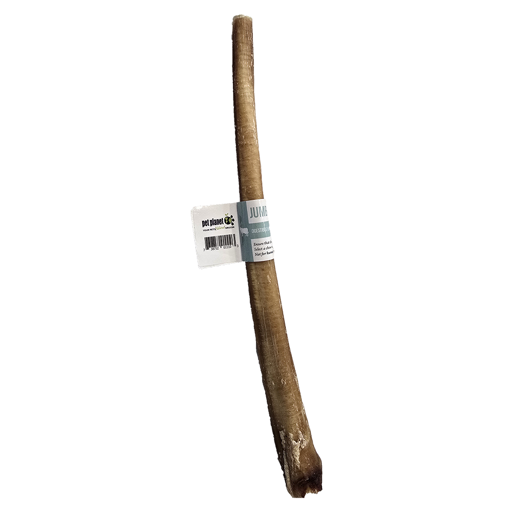 Pet Planet - Dog - Jumbo Bully Stick Beef