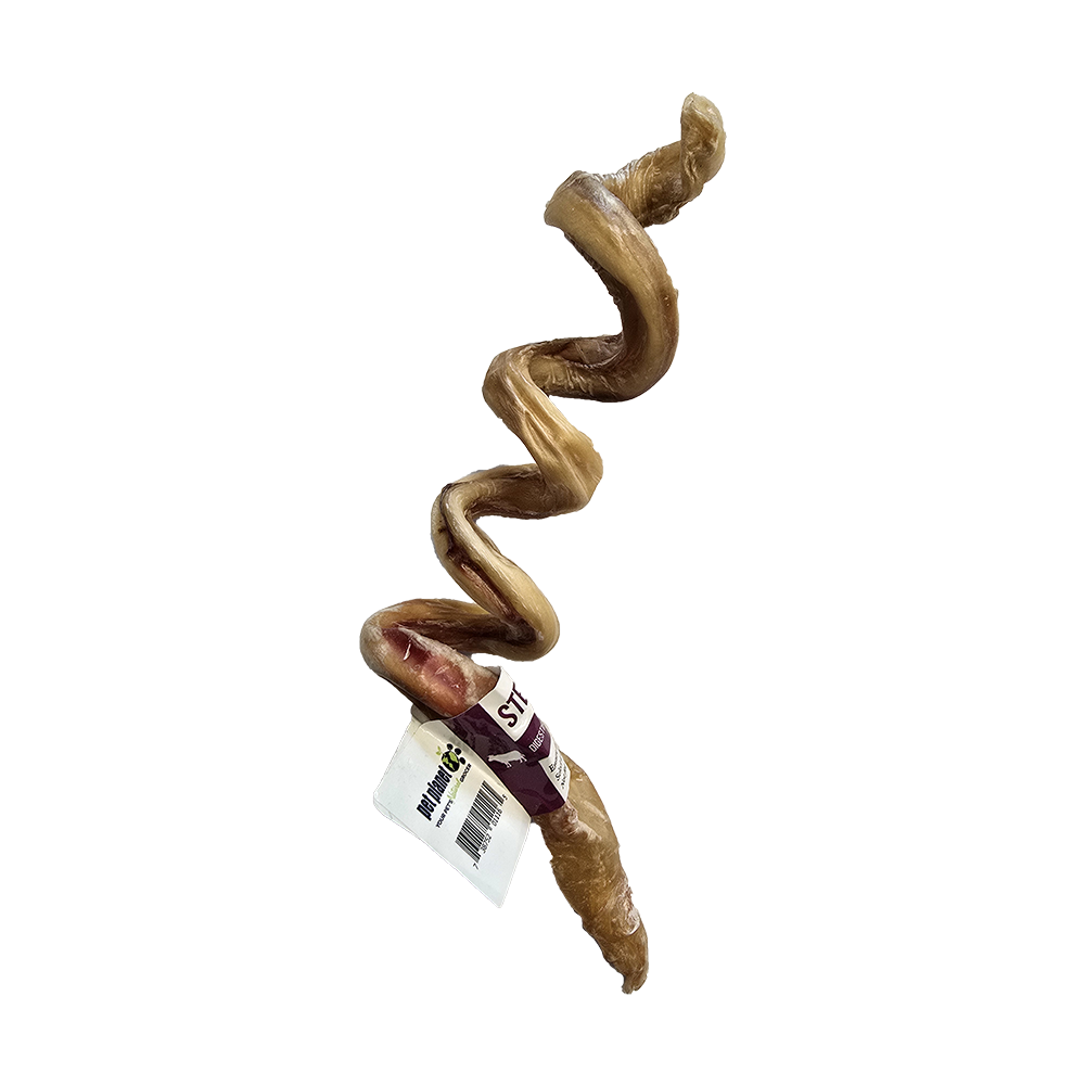 Pet Planet - Dog - Bully Stick Steer Curly