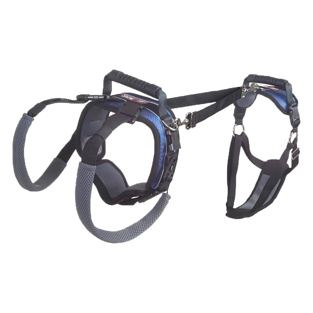 PetSafe - Dog - CareLift Support Harness