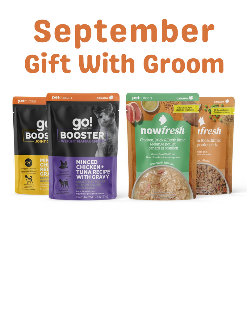 Gift With Groom