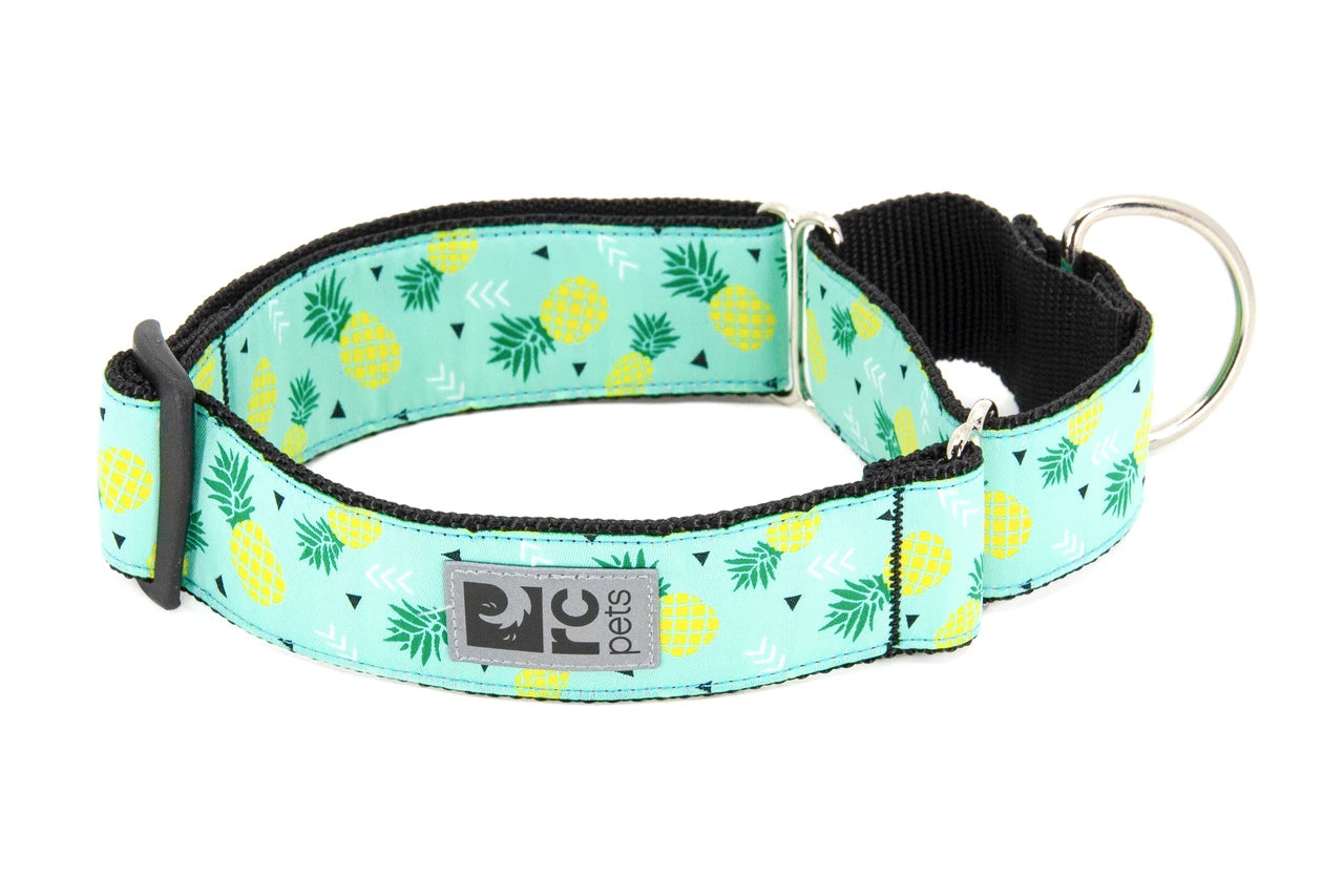RC Pets - Dog - All Webbing Training Collar Pineapple Parade