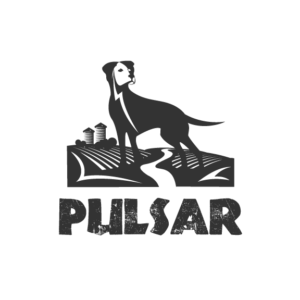 Pulsar