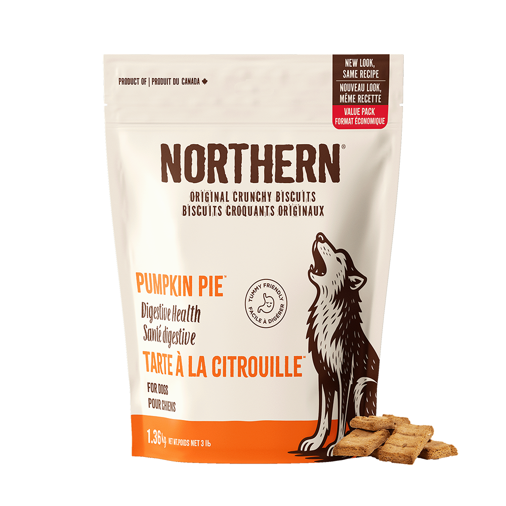 Northern Biscuit - Dog - Original Crunchy Biscuits Pumpkin Pie