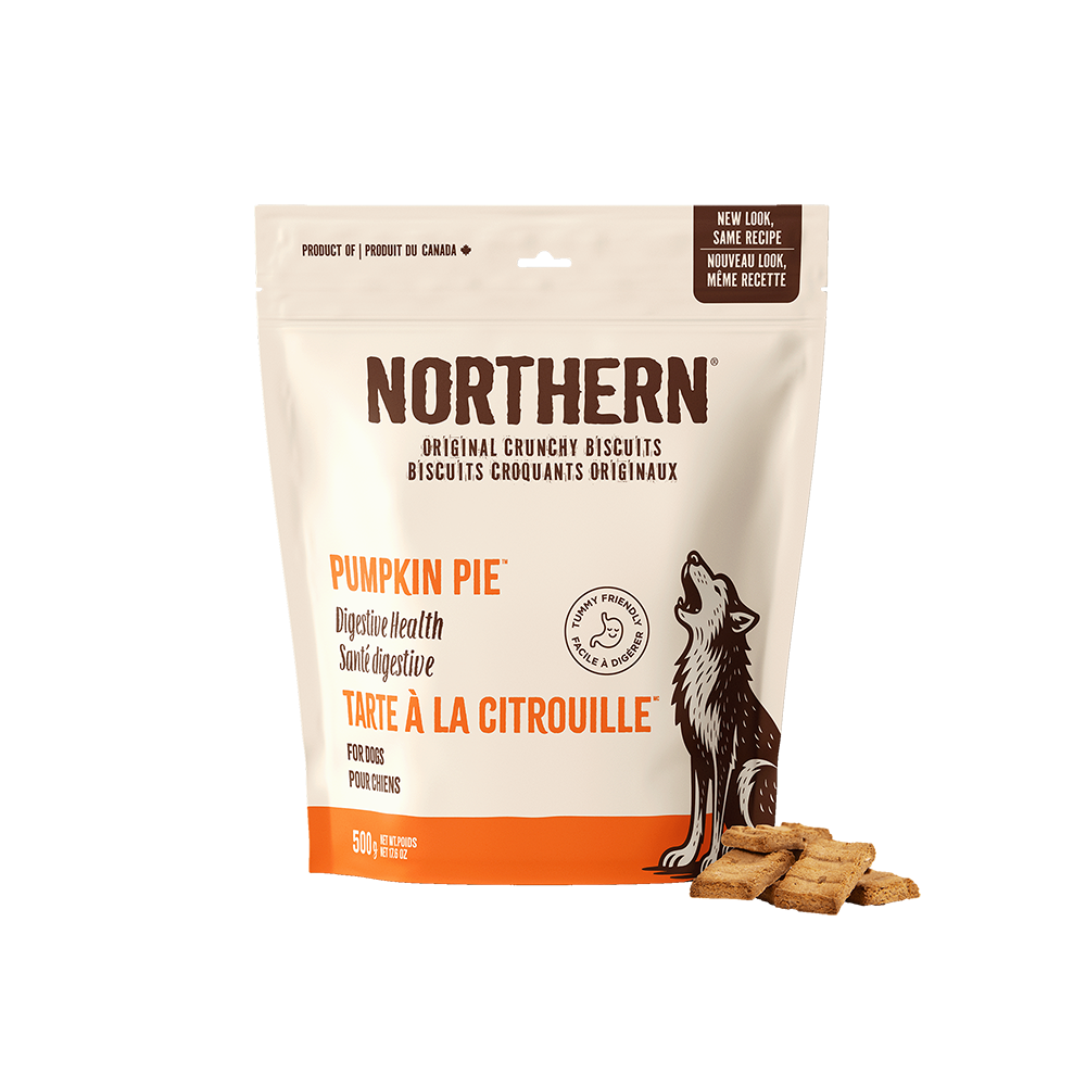 Northern Biscuit - Dog - Original Crunchy Biscuits Pumpkin Pie