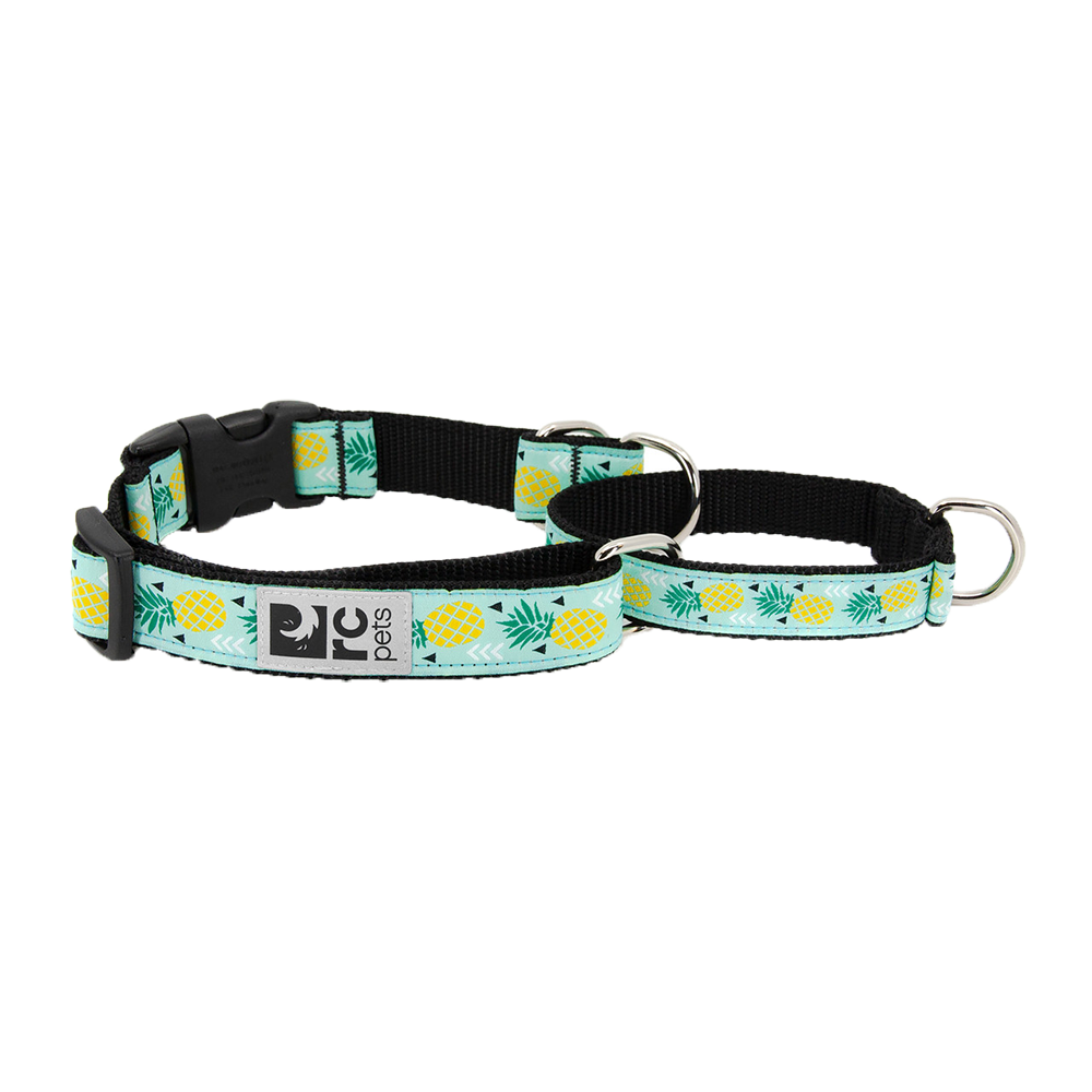 RC Pets - Dog -  Easy Clip Web Training Collar Pineapple Parade