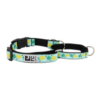 RC Pets - Dog -  Easy Clip Web Training Collar Pineapple Parade