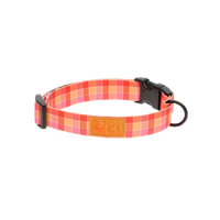 RC Pets - Dog - Eco Clip Collar Gleeful Gingham