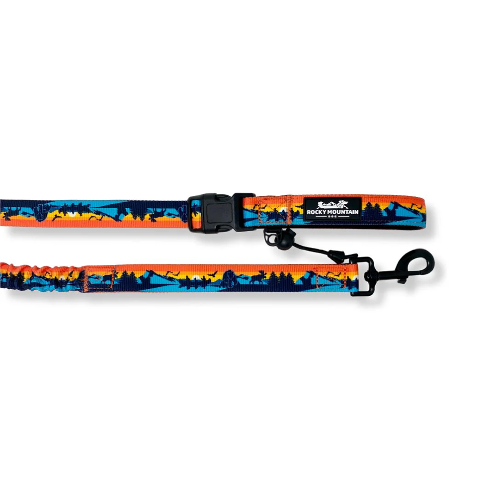 Rocky Mountain Dog - Dog - Leash Banff All Mountain