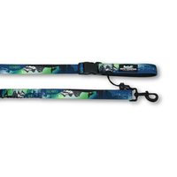Rocky Mountain Dog - Dog - Leash Canmore All Mountain Northern Lights