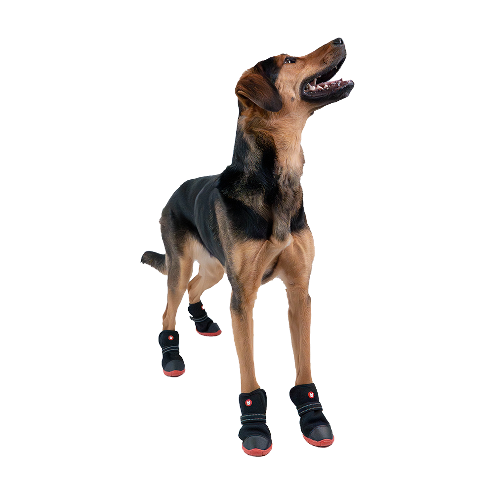 Silver Paw - Dog - Ren Winter Boots Black