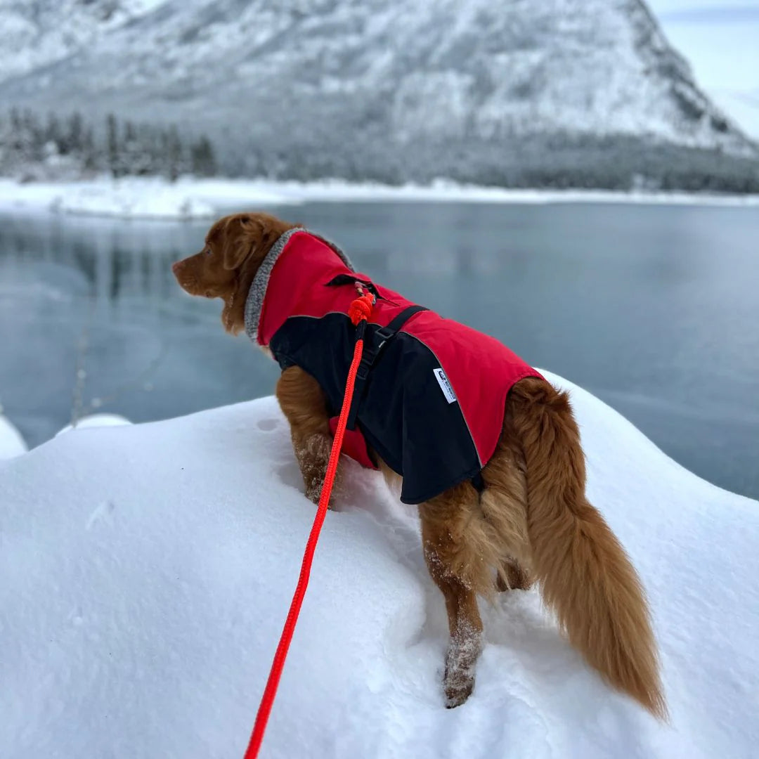 Rocky Mountain Dog - Dog - Parka Glacier Insulated Red