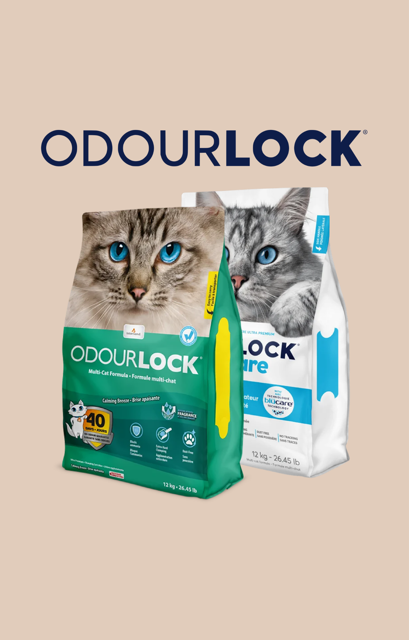 OdourLock (September 15 - 30)