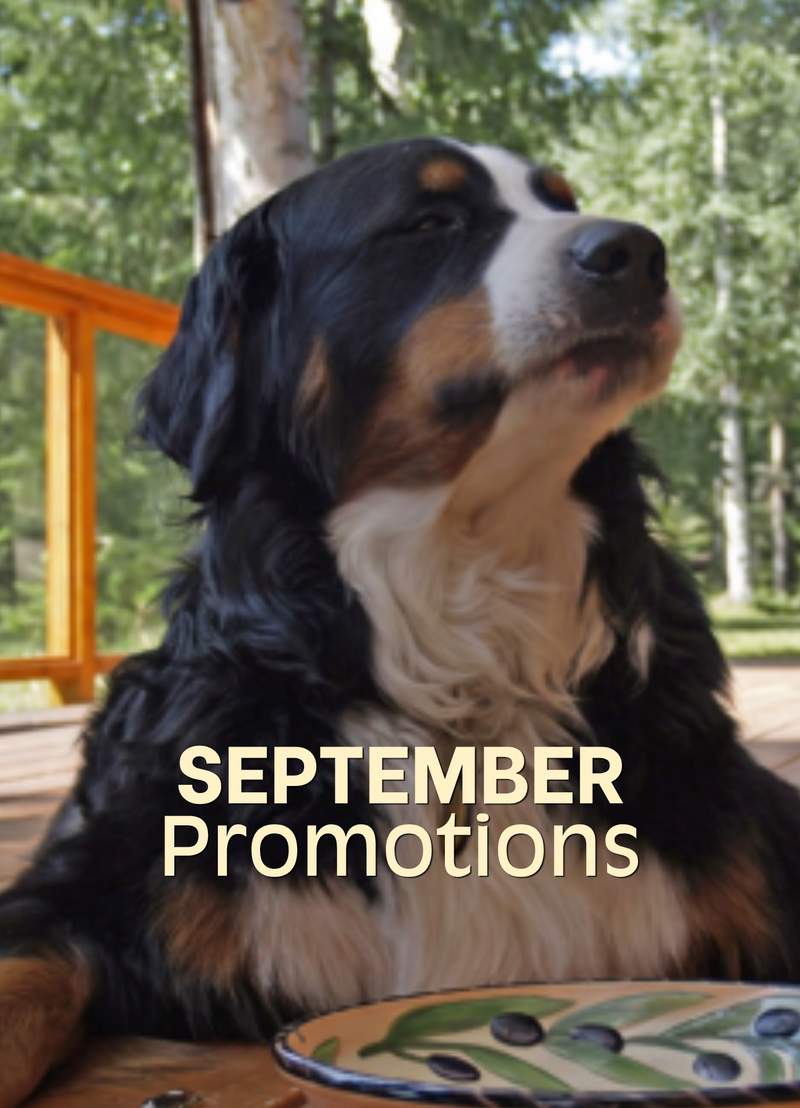 Shop September Promotions
