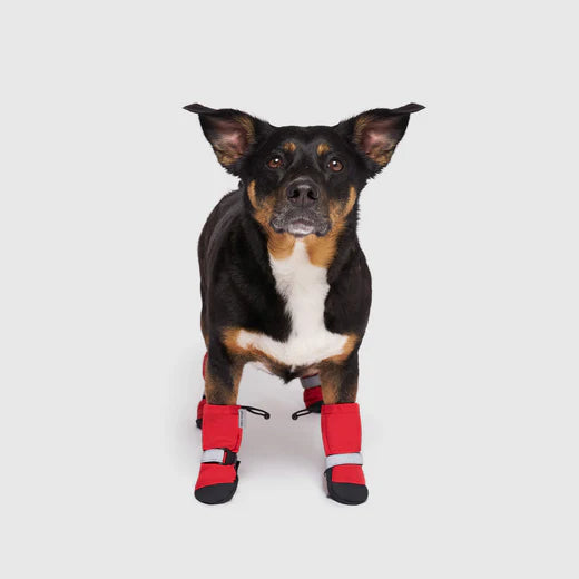 Canada Pooch - Dog - Soft Shield Boots Red