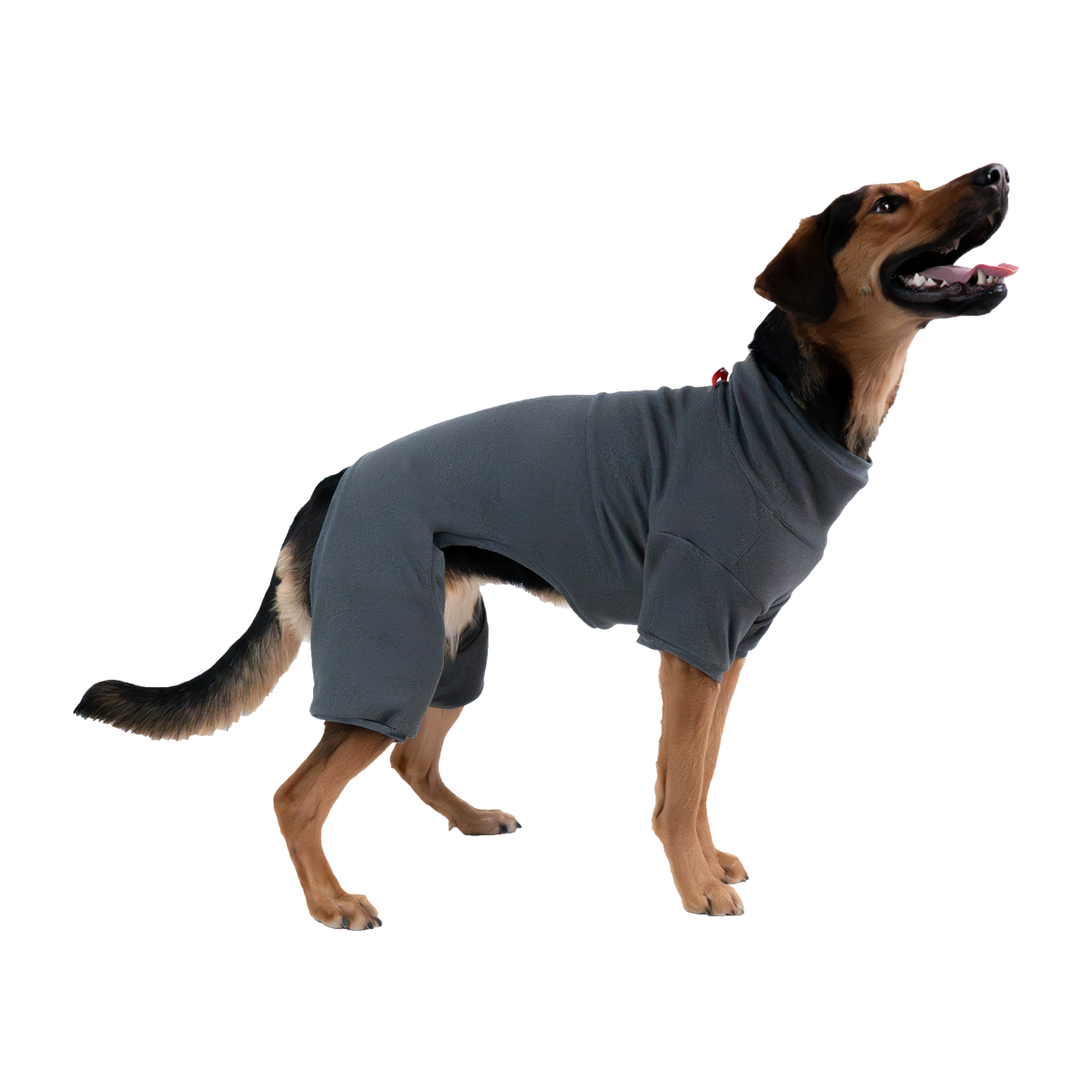 Silver Paw - Dog - Sophia Deshedding Bodysuit Grey