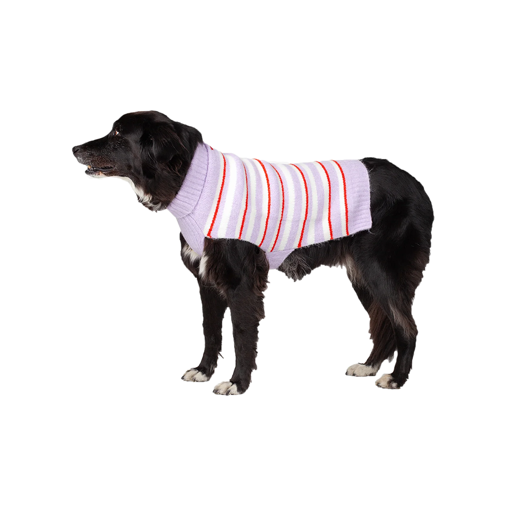 Silver Paw - Dog - Lila Striped Sweater Lilac