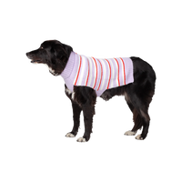Silver Paw - Dog - Lila Striped Sweater Lilac