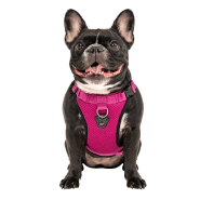 Canada Pooch - Dog - Everything Harness Mesh Pink
