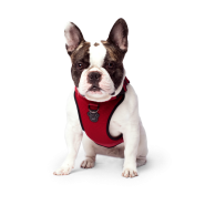 Canada Pooch - Dog - Everything Harness Mesh Red