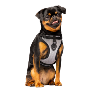 Canada Pooch - Dog - Everything Harness Mesh Reflective