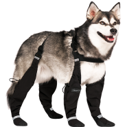 Canada Pooch - Dog - Suspender Boots Black Short