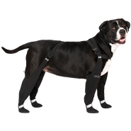 Canada Pooch - Dog - Suspender Boots Black Short